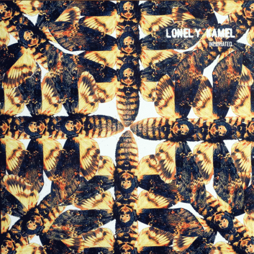 Lonely Kamel : Inebriated